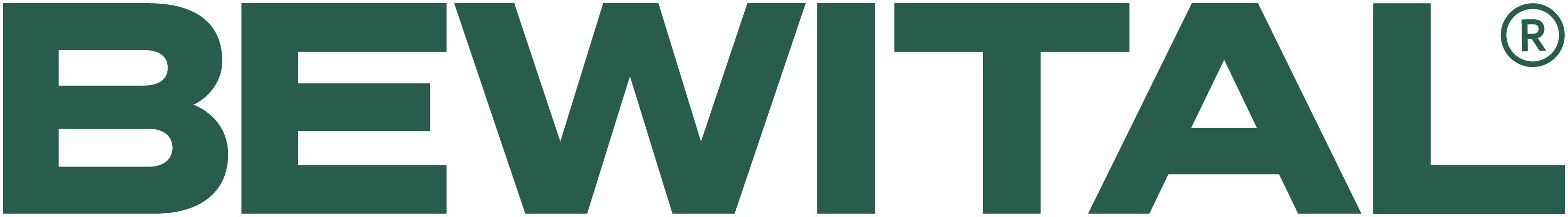 BEWITAL Holding GmbH & Co. KG Logo